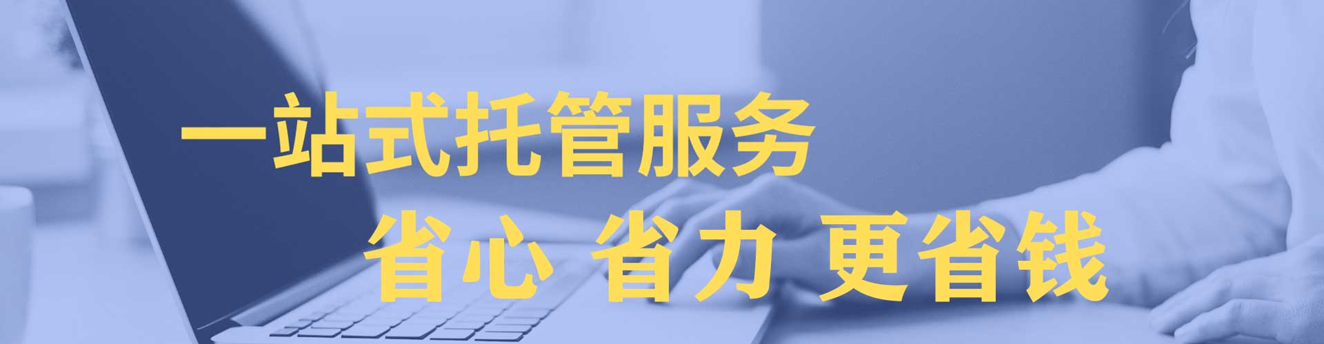 大观竞价广告